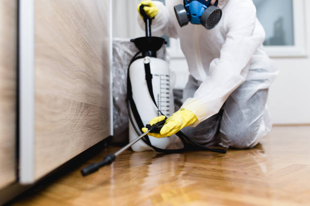 Insect Control in Drum Point, MD