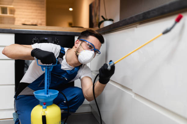 Best Wildlife Control Services  in Drum Point, MD