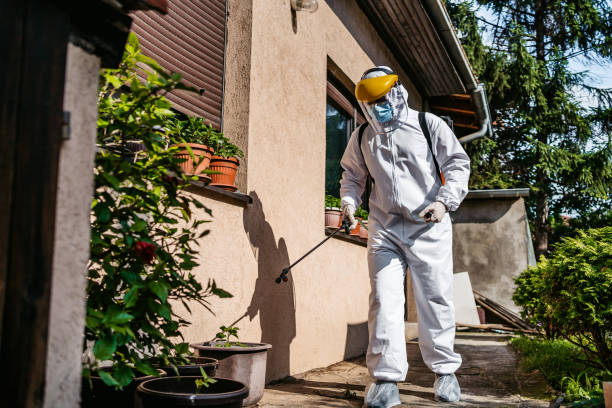 Best Best Pest Control Companies  in Drum Point, MD