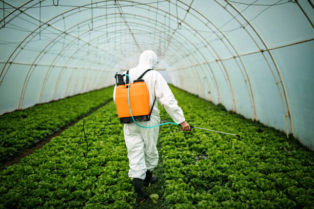 Best Commercial Pest Control Services  in Drum Point, MD