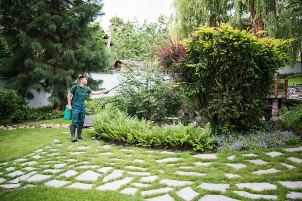 Best Pest Removal Services  in Drum Point, MD