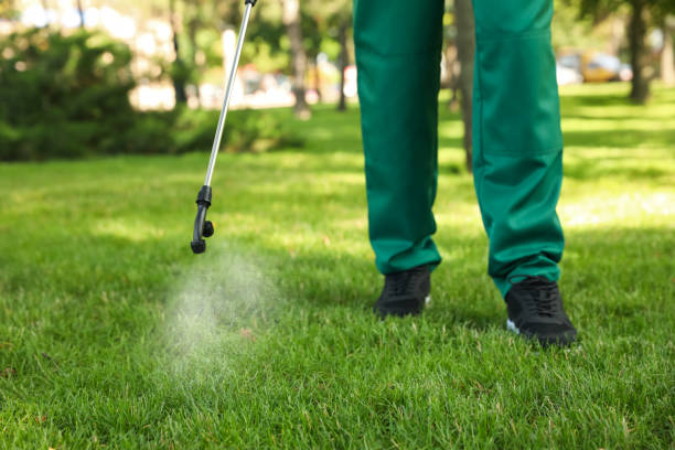 Wasp Removal Services in Drum Point, MD