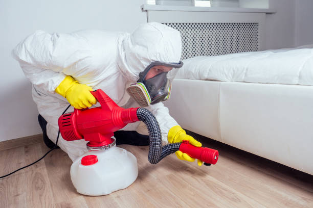Reliable Drum Point, MD Pest Control Solutions