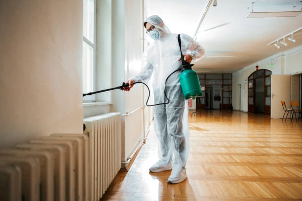 Best Local Pest Control Services  in Drum Point, MD